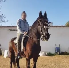 Isabelle, 31